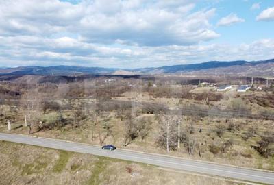 Teren Extravilan Valenii de Munte 11931 mp - 5