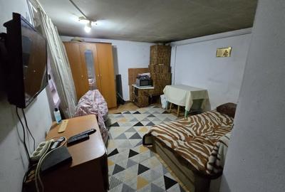 Casa P+M, Suprafata utila 220 mp, Teren 1.150 mp, Ștefanesti - 13