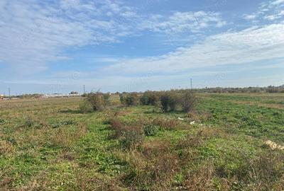 Teren de 3700 mp, în Mărăcineni - 4