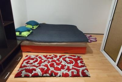 Casa de cultura,garsonieră de închiriat,termen lung.Pret 250euro - 13