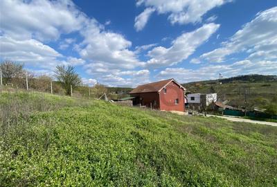 RECO Teren intravilan in Oradea Oncea 986mp - 1