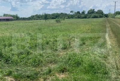 Teren de 4000 mp, în Careiului - 2