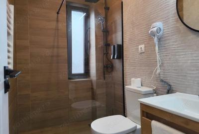 Garsoniera tip Aparthotel Afacere la cheie, Baile Felix, Bihor - 10