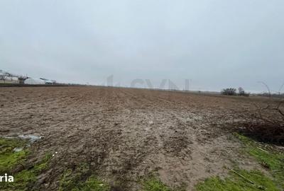 Teren de 1950 mp, în Mogoșani - 5