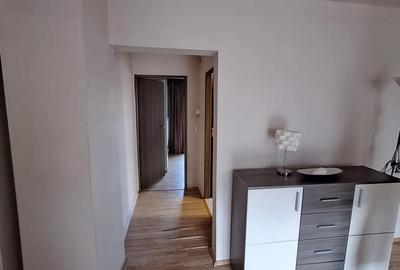 Apartament cu 2 camere semidecomandat, mobilat în Bucovina - 5