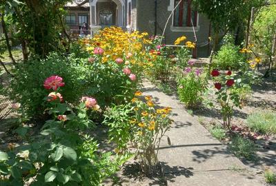 Vand casa si teren,acte la zi,apa,lumina,gaze,put - 2