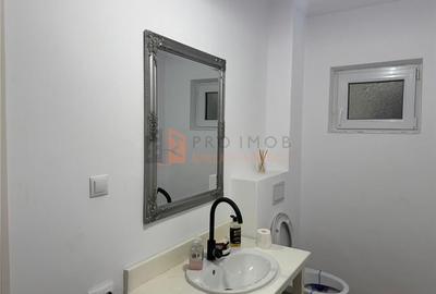 Casa tip S+P+1E+M in zona Gura Calnaului - 12