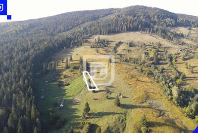 Teren situat in Frasin | BUCOVINA - 1