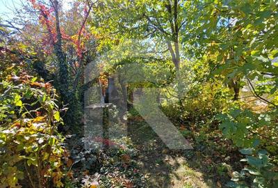 Vila Gabriela Otopeni Vila Gabriela Otopeni - 33