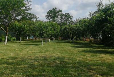 Berceni Dobreni - Varasti vila S-P+1E,singur curte, teren 900 mp - 2