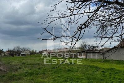 Teren intravilan 1000 mp in Dinias 20km de Timisoara - 2