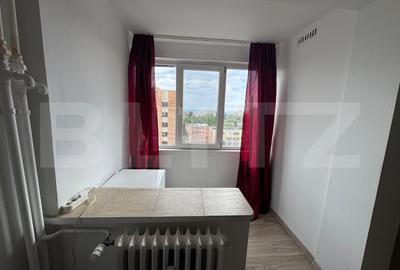 Garsoniera 32mp , Brazda lui Novac, Zona pietei din brazda - 4