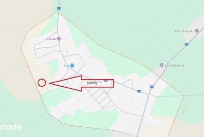 Teren de 3600 mp, în Dascălu - 7