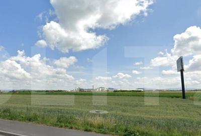 Teren de 10701 mp, în Stupini