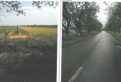 Teren extravilan Pietroasele, ID: R2586802 - 3