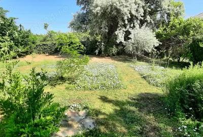 Casă cu 6 camere cu Teren 3000 Mp în Grădiștea - 10