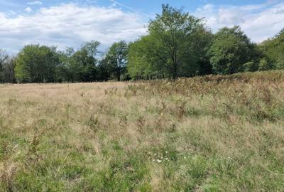 Spațiu comercial, în Runcu - 2