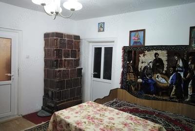 Inchiriez vila, 50 ari de teren, grajd, pastravarie, gradina cu pomi fructiferi - 2