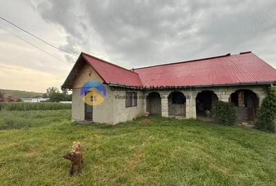 Casa de vanzare - GHINDAOANI - 14