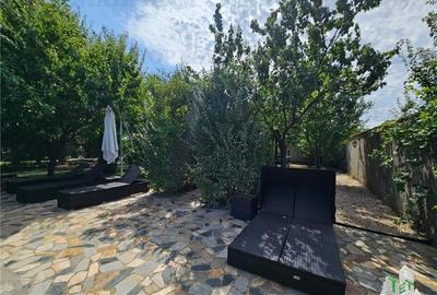 Vila superba, cu piscina, 970mp teren, D+P+E+M, gradina amenajata+pomi fructifer - 18