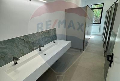 Proprietate specială, de 2,650 mp, în Băneasa - 49
