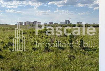 Spațiu comercial, în Șelimbăr - 5