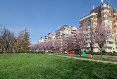 Pe cel mai frumos bulevard din oraș CORNELIU COPOSU-terasa cu vedere spre Bega - 2