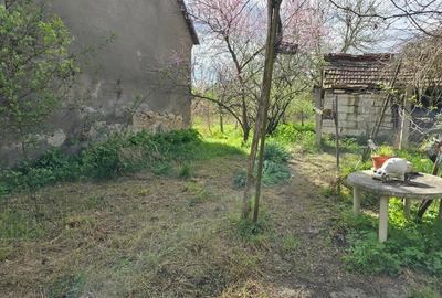 Casă cu 3 camere cu Teren 3863 Mp în Batiz - 1