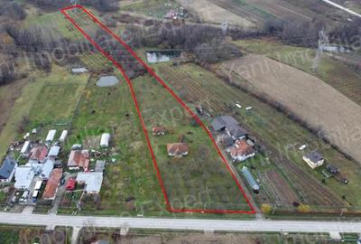 Teren în Bârseștii de Jos - 1