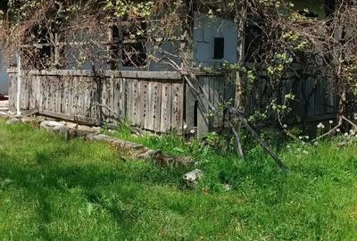 REDUCERE MARE DE PRET! In localitatea Miresu Mare, casa cu 10 ari teren, la drum asfaltat REDUCERE MARE DE PRET! In localitatea Miresu Mare, casa cu 10 ari teren, la drum asfaltat - 9