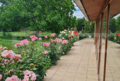 Casă cu 4 camere cu Teren 1710 Mp în Central