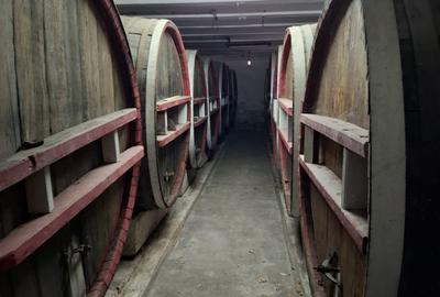 CRAMĂ FUNCȚIONALĂ DE VÂNZARE   ÎN INIMA PODGORIEI ODOBEȘTI (VRANCEA) - 3