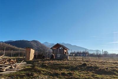 Casa De Vacanta P+M Rasnov Zona Glajarie Najila - 5