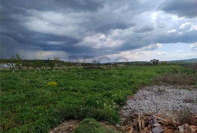 Teren de 1000 mp, în Paleu