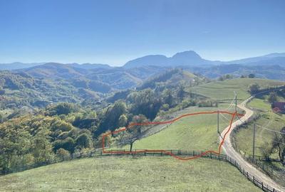 Spațiu comercial, în Central - 4