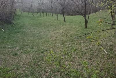 Teren de 2600 mp, în Izvoarele - 4