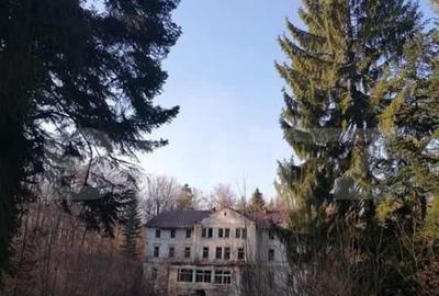 Casă cu 30 camere cu Teren 30000 Mp în Central - 7