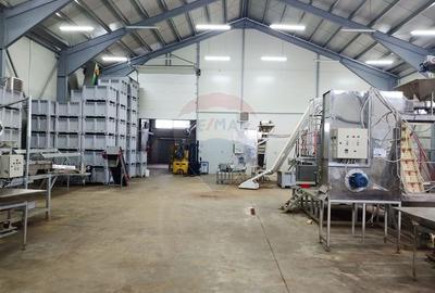 Spațiu industrial, de 1,120 mp, în Dumbrăveni - 20