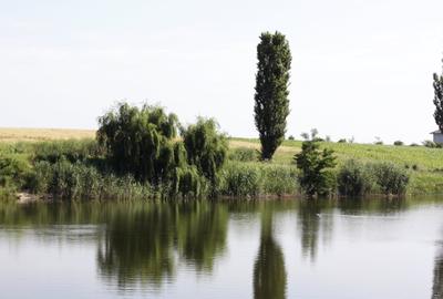 Teren intravilan cu vedere la lac – Balotești / Corbeanca, 17850 mp - 1