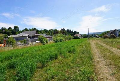 Teren de 1687 mp, în Sighetu Marmației - 1