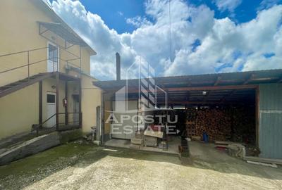 Spatii productie si depozitare, zona Sebis - Prunisor-Carand - 26