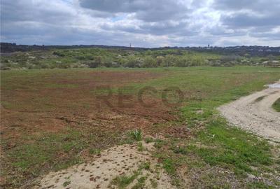 RECO Teren intravilan, Paleu - 2