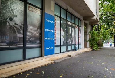 INVESTITIE - Vanzare vila finalizata S+P+2E+M, zona Doamna Ghica - 31