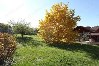 Casa cu 6 camere, de vanzare, in Baia Sprie - 10