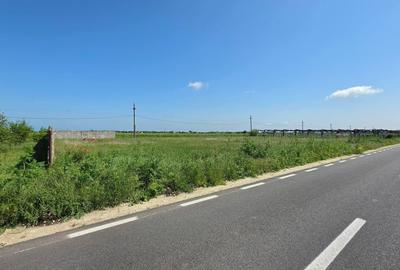 Teren Construcții extravilan de 2000 mp, în Movilița - 1