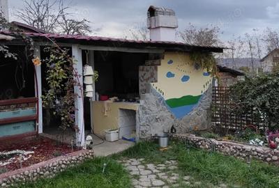Casă cu Teren 650 Mp în Vințu de Jos