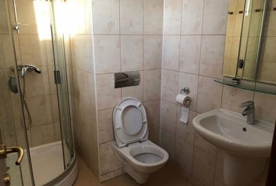 Apartament cu 3 camere decomandat în Moșilor - 5
