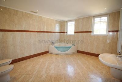 Vila Individuala de Inchiriat in Zona Iancu Nicolae - 9