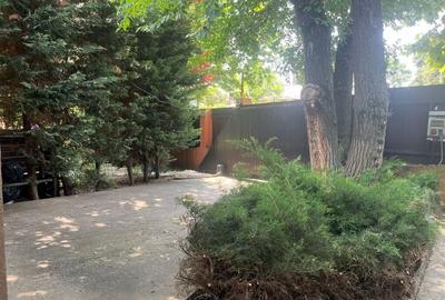 Casă cu 4 camere cu Teren 1100 Mp în Andronache - 7