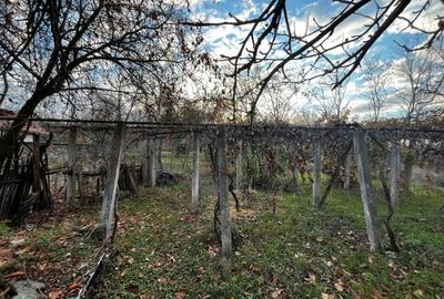 Casă individuală cu 1 camere cu Teren 1341 Mp în Strâmba-Jiu - 10